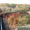 CN Train Bridge