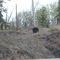 Three Bears in The Yukon
