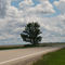 South Saskatchewan Provincial Forest