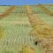 Swift Current - Saskatchewan, Canada