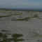 Limestone Barrens