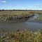 Oldmans Creek, Pedricktown Marsh
