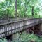 Haverford nature trail
