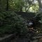Mill Creek tributary near Cherry Lane, Wynnewood, PA
