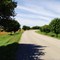 The Road to Brooksdale
