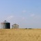 East Of Calgary, Near Cheadle, Alberta, Canada.