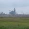 Corals for cadle in Strathmore. Ab.