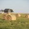 Praire harvest
