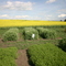 Crops of the Parkland Walking Tour -  Yorkton