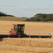 Swathing South of Yorkton