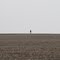 Solitary
