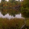 Mennehaha Bay, Sturgeon River