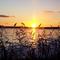 Cache bay sunset