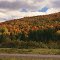 CANADA, NEW BRUNSWICK - Autumn glow near Alnwick, New Castle