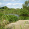 Small Lake, Looking East, Sept. 2008