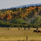 Chilcotin ranchland