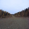 Red Fern Gravel Strip