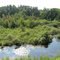 Caledon Trailway Wetlands and Frogs