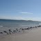 Grande baie d'sable B-T