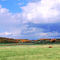Fall Colours