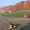 Sweetgrass Farm