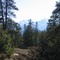 Dry Forest Naturally Framing The Mountains In Jackman Flats Park, Valemount BC May '09