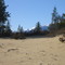The Dry Sand Dunes And Contrasting Snow Capped Mountains Beyond In Jackman Flats Park, Valemount BC May '09