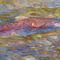 Chinook Salmon