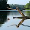 Bowling stick over lake, Nashville