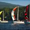 Sailboat Racers