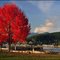 Fall at Rocky Point Park