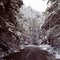 Small road to the Lake, near Espanola