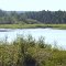 The Athabasca River At High Water Levels In Whitecourt AB Northwest of Edmonton Aug '12