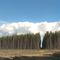 Forestry on the Mountains