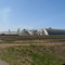 Mosaic K1 Potash Mine near Esterhazy