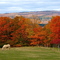 Automne à la campagne