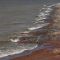 Coastal Colours
