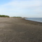Spring time beaches