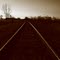 Tracks