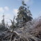 Welland - Buchner Rd. Ice Storm