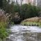 Ganaraska River