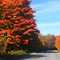 Fall colours in all their glory