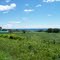 NEWCASTLE (PORT GRANBY) - farm by the lake