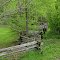 An old split cedar rail snake fence.