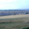 Early Spring in the Piedmont