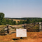 Appomattox N.H.P.