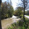 Selkirk Ontario River to Lake Erie Fall