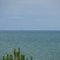 Sailing Ships Lake Erie