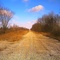 Canada Southern railway right-of-way, east of Cayuga