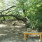 Red Willow Park